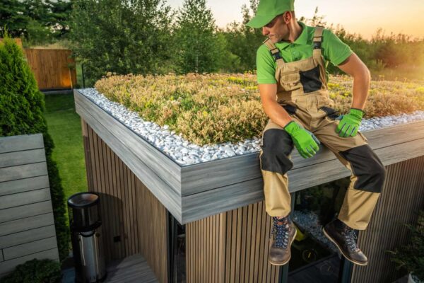 Coperture verdi per efficienza energetica: tutti i vantaggi